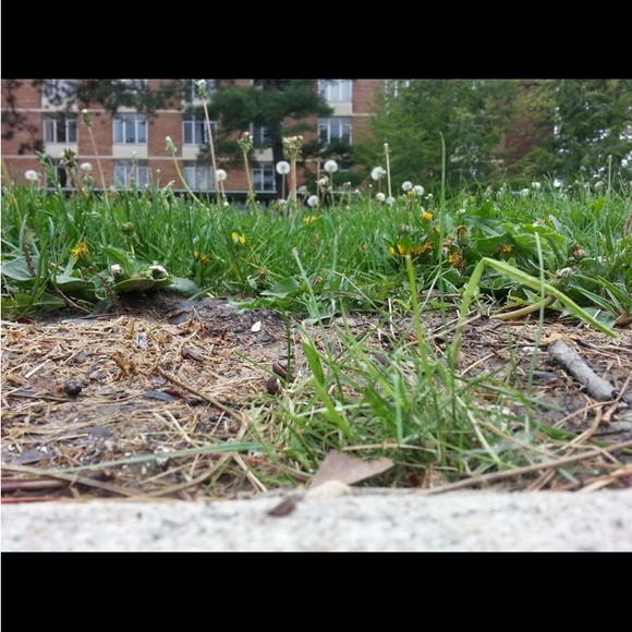 ABOUT ME! - Picture 7 of 7